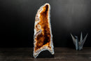 Citrine Geode Cathedral with Stalactite Flowers Covered in Galaxy Druzy - E2D Crystals & Minerals
