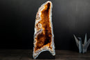 Citrine Geode Cathedral with Stalactite Flowers Covered in Galaxy Druzy - E2D Crystals & Minerals