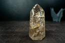 Rare Clear Quartz with Landscape Lodolite Inclusions - Natural Artwork in Crystal (621g / 1.4 lb) - E2D Crystals & Minerals