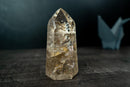 Rare Clear Quartz with Landscape Lodolite Inclusions - Natural Artwork in Crystal (621g / 1.4 lb) - E2D Crystals & Minerals