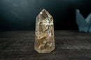 Rare Clear Quartz with Landscape Lodolite Inclusions - Natural Artwork in Crystal (621g / 1.4 lb) - E2D Crystals & Minerals