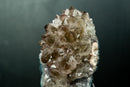 Collector Amethyst Flower Rosette with Rare Goethite Needles - White - Green Druzy (4.2 lb) - E2D Crystals & Minerals