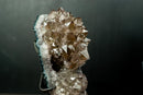 Collector Amethyst Flower Rosette with Rare Goethite Needles - White - Green Druzy (4.2 lb) - E2D Crystals & Minerals