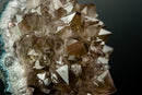 Collector Amethyst Flower Rosette with Rare Goethite Needles - White - Green Druzy (4.2 lb) - E2D Crystals & Minerals