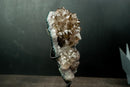Collector Amethyst Flower Rosette with Rare Goethite Needles - White - Green Druzy (4.2 lb) - E2D Crystals & Minerals