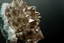 Collector Amethyst Flower Rosette with Rare Goethite Needles - White - Green Druzy (4.2 lb) - E2D Crystals & Minerals