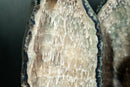 Pair of Ultra - Rare Sugar - Coated Stalactite Amethyst Geodes (AKA “Chuveirinho”) with Chalcedony (45.7 Kg - 100.6 lb) - E2D Crystals & Minerals