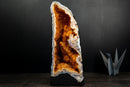 Citrine Crystal Geode Cathedral with Stalactite Flowers and White Agate Frame - E2D Crystals & Minerals