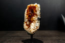 Small Citrine Cluster with Deep Madeira Orange Druzy Quartz - E2D Crystals & Minerals