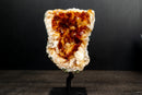 Small Citrine Cluster with Deep Madeira Orange Druzy Quartz - E2D Crystals & Minerals
