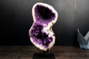 Amethyst Geode in Natural Infinity (8) Formation with Sparkly Purple Druzy and Flower Rosettes - E2D Crystals & Minerals