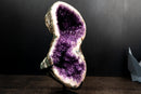 Amethyst Geode in Natural Infinity (8) Formation with Sparkly Purple Druzy and Flower Rosettes - E2D Crystals & Minerals