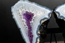 Blue Lace Agate Butterfly Wings Geode with Purple Amethyst Druzy - E2D Crystals & Minerals