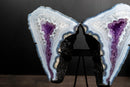 Blue Lace Agate Butterfly Wings Geode with Purple Amethyst Druzy - E2D Crystals & Minerals