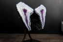 Blue Lace Agate Butterfly Wings Geode with Purple Amethyst Druzy - E2D Crystals & Minerals