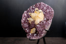 Collector Phantom Calcite on Amethyst - Ametista do Sul, Brazi - E2D Crystals & Minerals