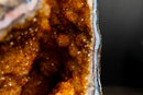 Citrine Geode Cathedral with Stalactite Flowers Covered in Galaxy Druzy - E2D Crystals & Minerals