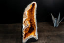 Citrine Geode Cathedral with Stalactite Flowers Covered in Galaxy Druzy - E2D Crystals & Minerals