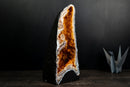 Citrine Geode Cathedral with Stalactite Flowers Covered in Galaxy Druzy - E2D Crystals & Minerals