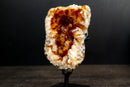 Small Citrine Cluster with Deep Madeira Orange Druzy Quartz - E2D Crystals & Minerals