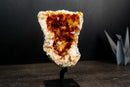 Small Citrine Cluster with Deep Madeira Orange Druzy Quartz - E2D Crystals & Minerals
