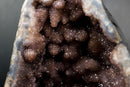 Pair of Collector - Grade Amethyst Geodes with Galaxy Druzy over Calcite - E2D Crystals & Minerals