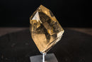 Genuine AAA Honey - Yellow Citrine Quartz Point with Rainbows - E2D Crystals & Minerals