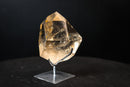 Genuine AAA Honey - Yellow Citrine Quartz Point with Rainbows - E2D Crystals & Minerals