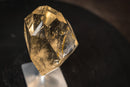 Genuine AAA Honey - Yellow Citrine Quartz Point with Rainbows - E2D Crystals & Minerals