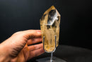 Genuine Honey - Yellow Citrine Quartz Point with Rainbows from Brazil - E2D Crystals & Minerals