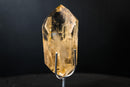 Genuine Honey - Yellow Citrine Quartz Point with Rainbows from Brazil - E2D Crystals & Minerals