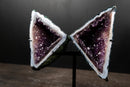 Rare Geometric Triangular Amethyst Geode Wings White Agate Banding - E2D Crystals & Minerals