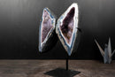 Lace Agate “Angel Wings” Geode – Blue & White Banding with Galaxy Amethyst - E2D Crystals & Minerals