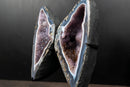 Lace Agate “Angel Wings” Geode – Blue & White Banding with Galaxy Amethyst - E2D Crystals & Minerals