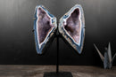 Lace Agate “Angel Wings” Geode – Blue & White Banding with Galaxy Amethyst - E2D Crystals & Minerals