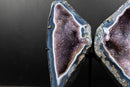 Lace Agate “Angel Wings” Geode – Blue & White Banding with Galaxy Amethyst - E2D Crystals & Minerals