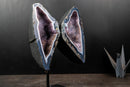Lace Agate “Angel Wings” Geode – Blue & White Banding with Galaxy Amethyst - E2D Crystals & Minerals