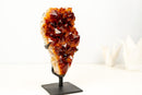 AAA - Grade Madeira Citrine Crystal Cluster with Large Druzy - E2D Crystals & Minerals