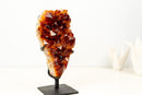 AAA - Grade Madeira Citrine Crystal Cluster with Large Druzy - E2D Crystals & Minerals