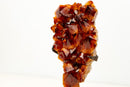 AAA - Grade Madeira Citrine Crystal Cluster with Large Druzy - E2D Crystals & Minerals