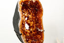 Citrine Geode Portal - AAA Madeira Orange Druzy with Rare Crown Formation - E2D Crystals & Minerals