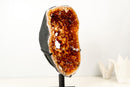 Citrine Geode Portal - AAA Madeira Orange Druzy with Rare Crown Formation - E2D Crystals & Minerals