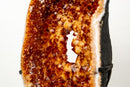 Citrine Geode Portal - AAA Madeira Orange Druzy with Rare Crown Formation - E2D Crystals & Minerals