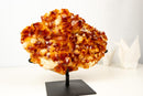 AAA Madeira Citrine Druzy Cluster – Intense Orange to Reddish Crystal Points - E2D Crystals & Minerals