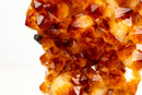 Natural Citrine Cluster with AAA, Large Madeira Orange Citrine Druzy - E2D Crystals & Minerals