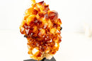 Natural Citrine Cluster with AAA, Large Madeira Orange Citrine Druzy - E2D Crystals & Minerals