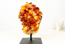 Natural Citrine Cluster with AAA, Large Madeira Orange Citrine Druzy - E2D Crystals & Minerals