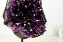 AAA - Grade Royal Purple Amethyst Geode Cluster with Rare Stalactite Flower - E2D Crystals & Minerals