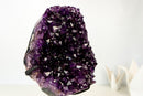 AAA - Grade Royal Purple Amethyst Geode Cluster with Rare Stalactite Flower - E2D Crystals & Minerals