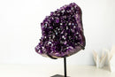 AAA - Grade Royal Purple Amethyst Geode Cluster with Rare Stalactite Flower - E2D Crystals & Minerals